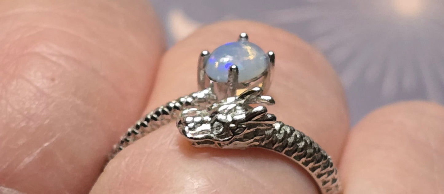 Sigdy Dragon Collection