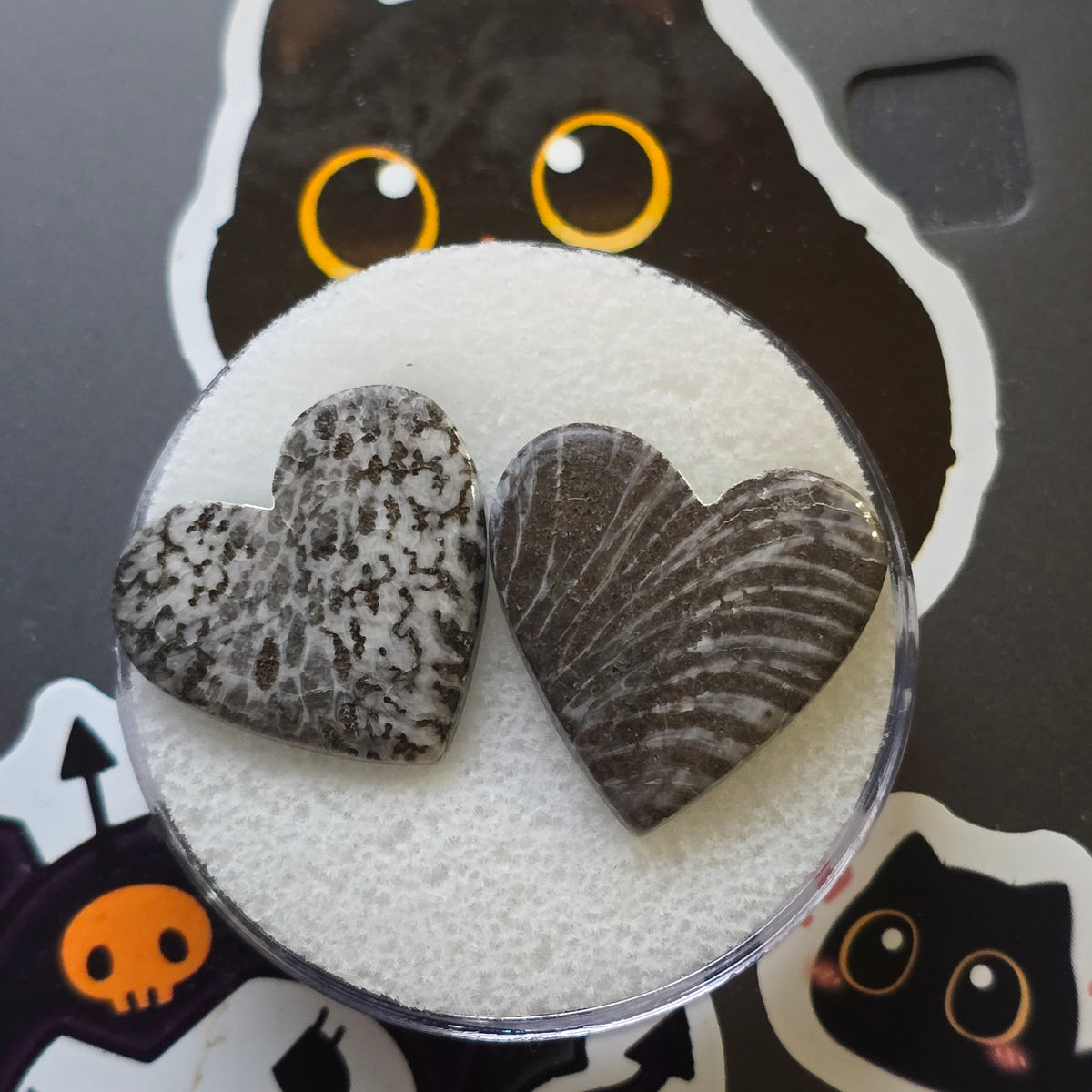 Black Fossilized Coral Hearts