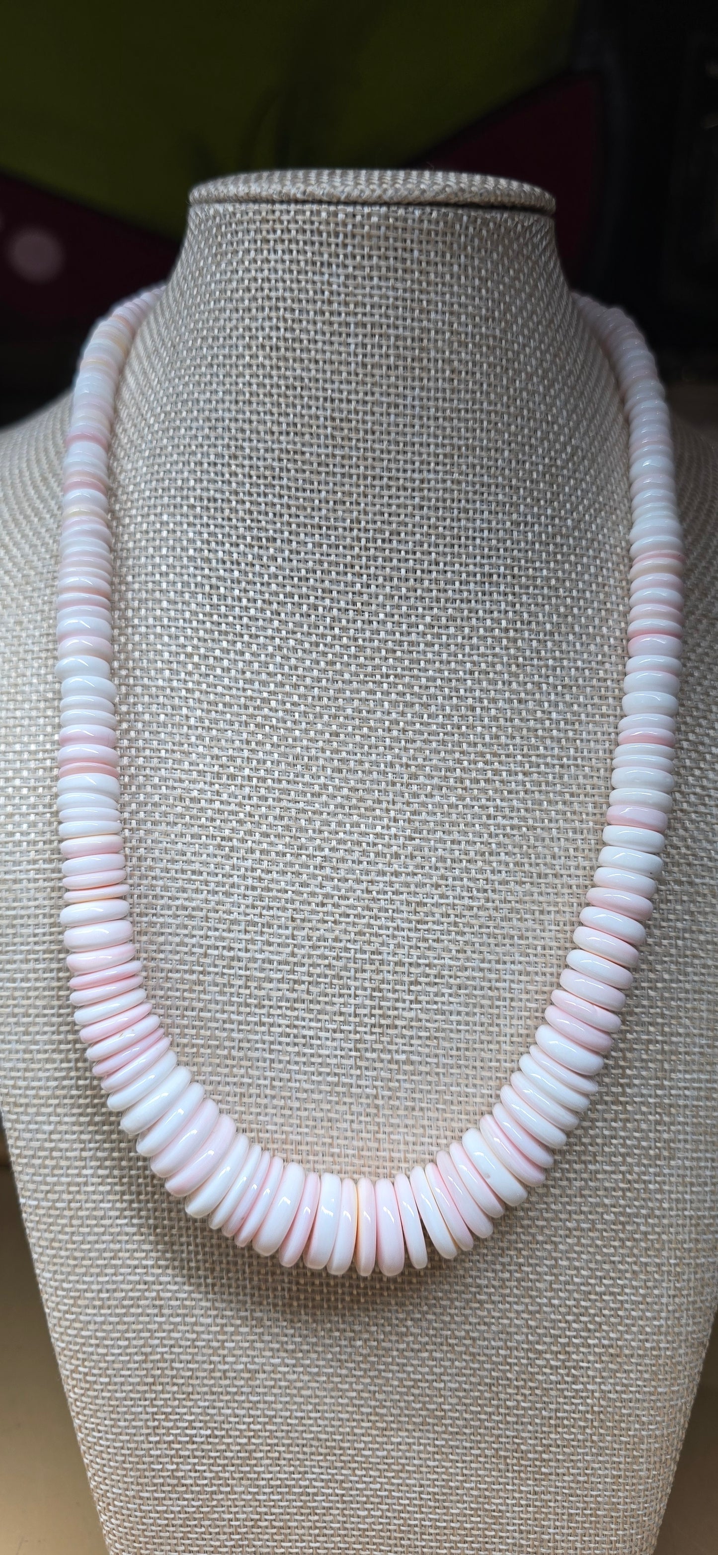 Queen Conch Graduated Necklace