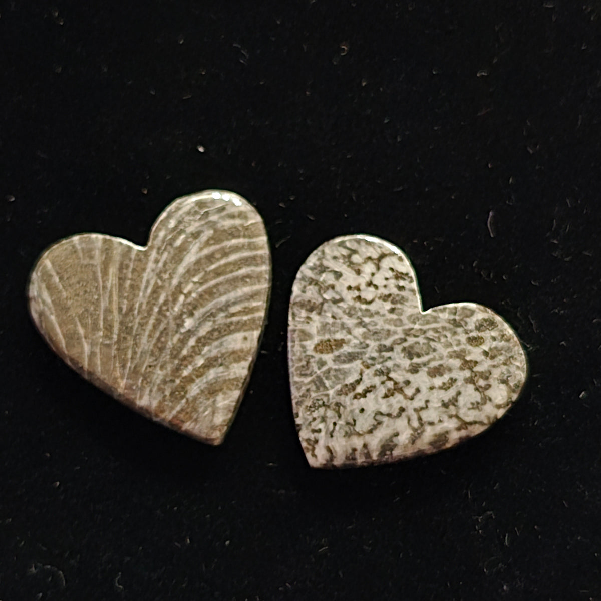 Black Fossilized Coral Hearts