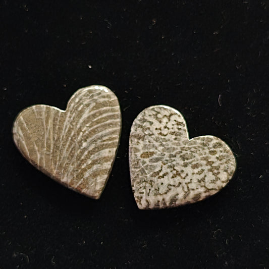 Black Fossilized Coral Hearts