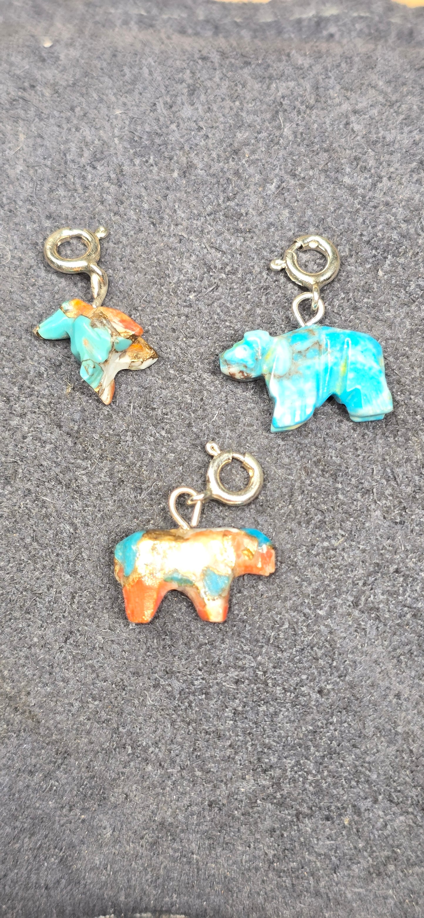 Spiney & Turquoise Charms