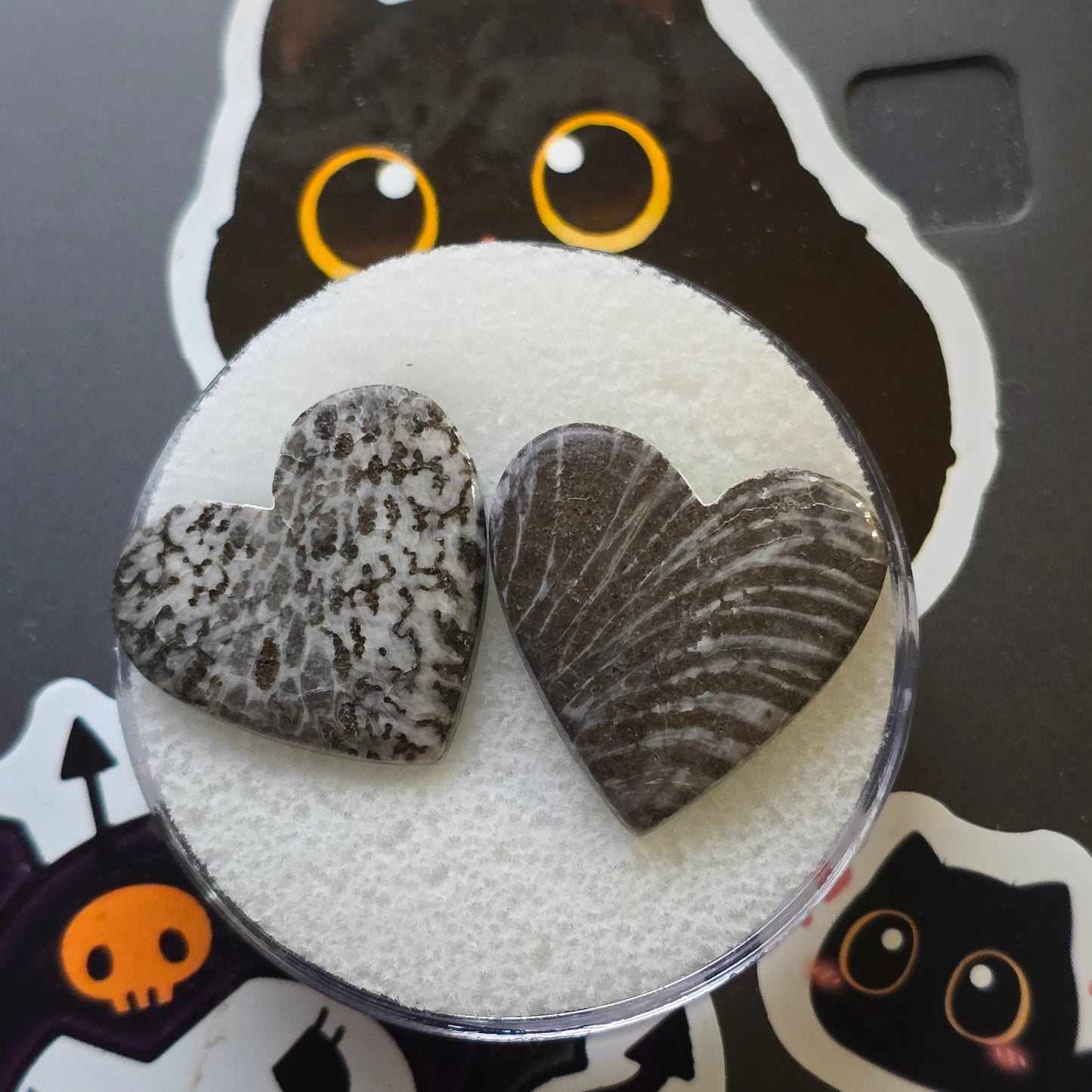 Black Fossilized Coral Hearts